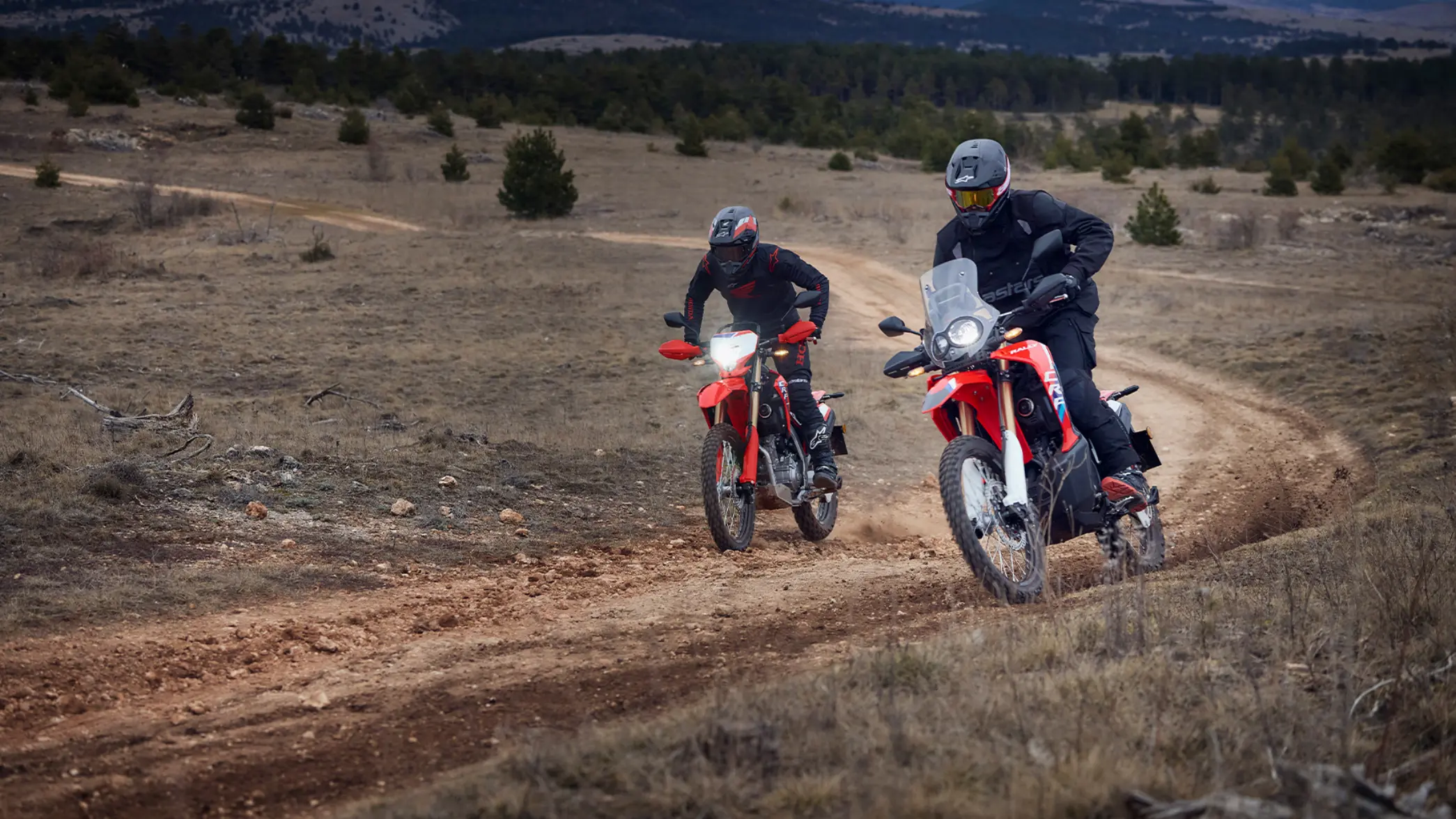 CRF300L és CRF300 Rally